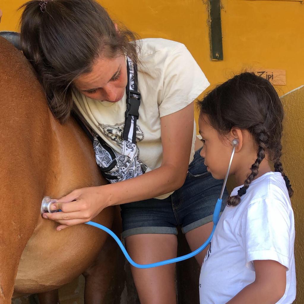 Los niños conocen el día a día del Rancho de Caballos. Campamento 2019 Sierra de Madrid.