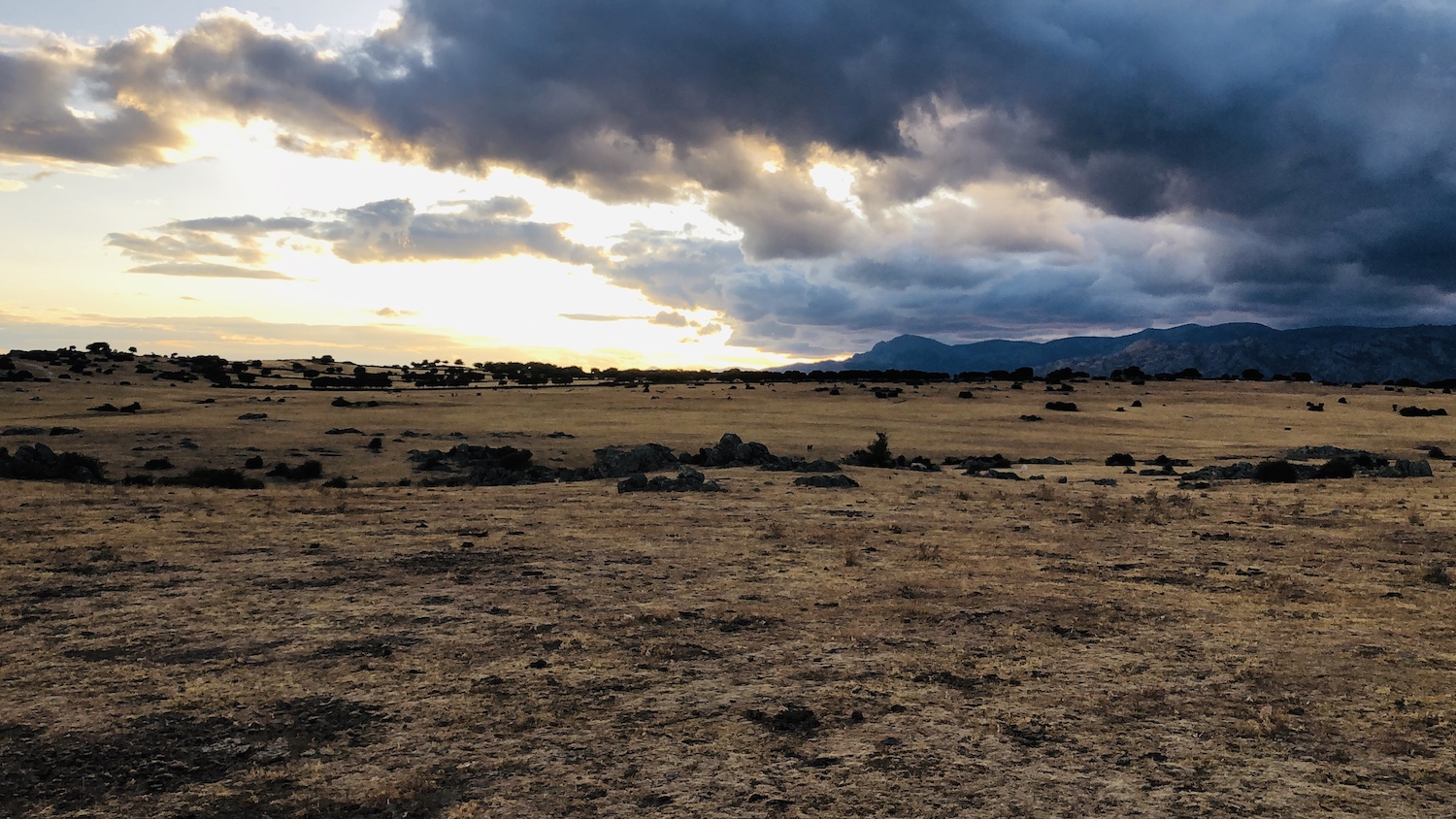 Montar a Caballo en Madrid. Dehesa de Navalvillar.