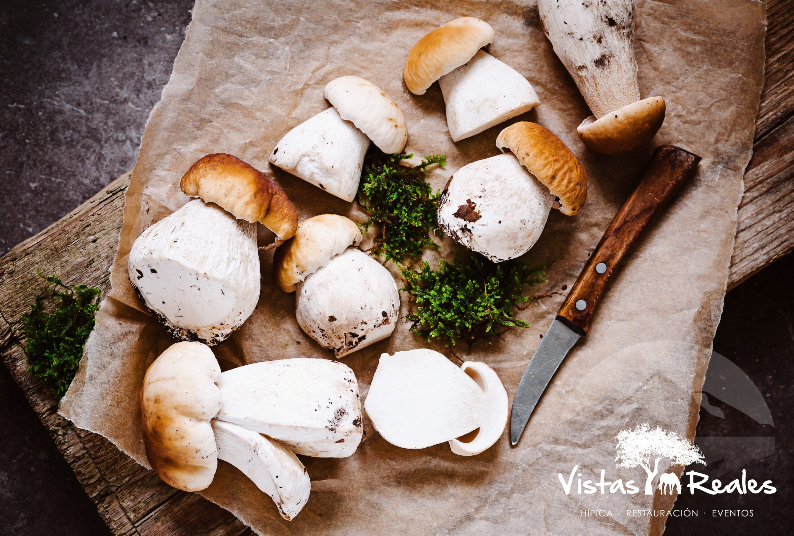 Dónde comer los Mejores Boletus de la Sierra.