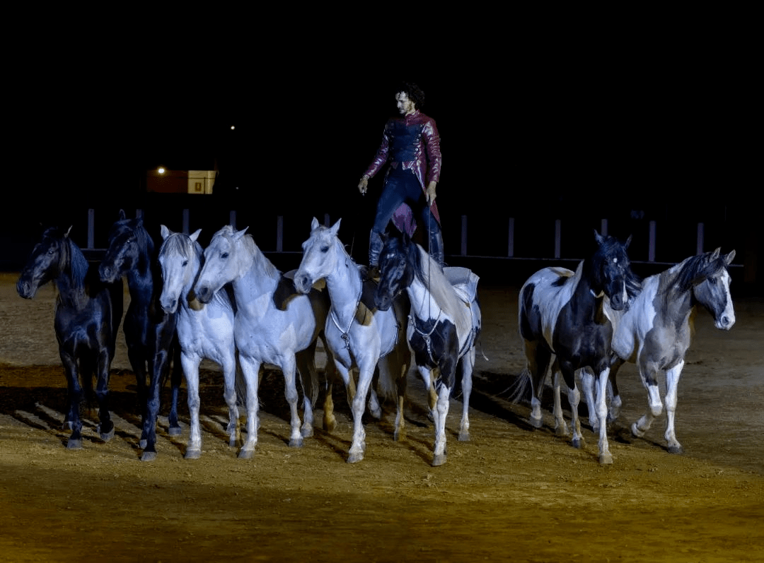 Entradas Paco Martos Horse Show
