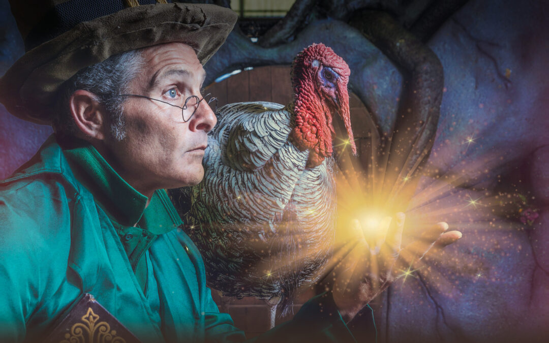 Estas Navidades Regala Vistas Reales