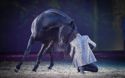 FEELING, el Espectáculo Ecuestre de Miron Bococi