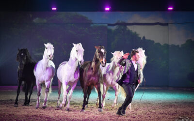 Miron Bococi trae a Vistas Reales su espectáculo ecuestre “FEELING”