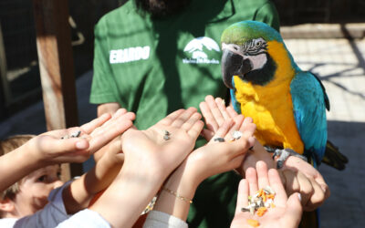 Campamento de Semana Santa en Vistas Reales: naturaleza, animales y aventura en plena sierra de Madrid