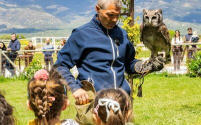 El plan familiar más sorprendente de Madrid: así es el restaurante con animales y exhibición de aves rapaces ideal para ir con niños