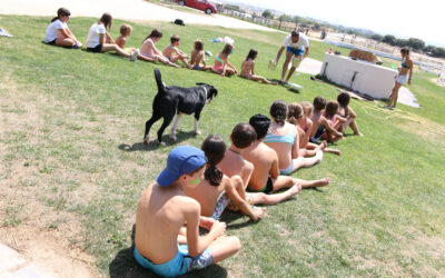 Campamento de verano 2026