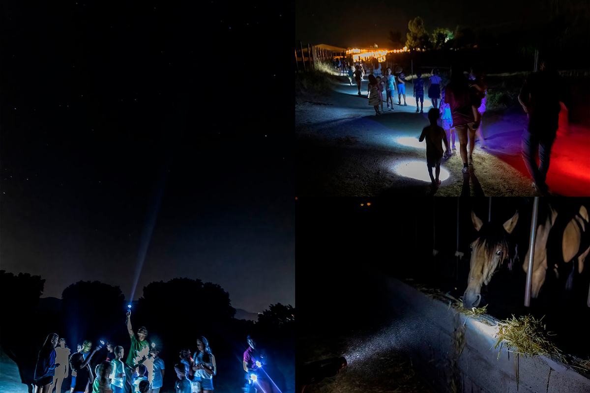 Pase nocturno Vistas Reales