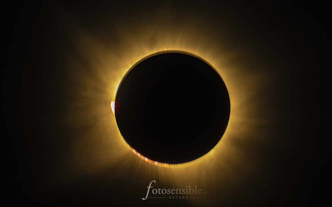 Así vivimos el eclipse en Vistas Reales