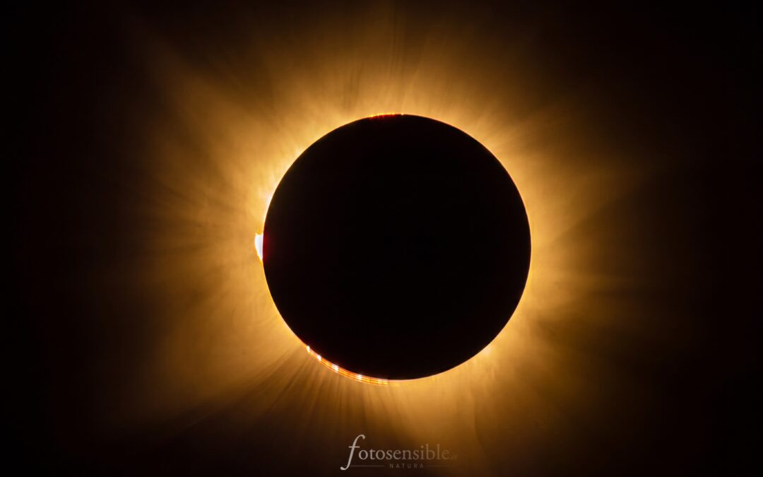 Así vivimos el eclipse en Vistas Reales