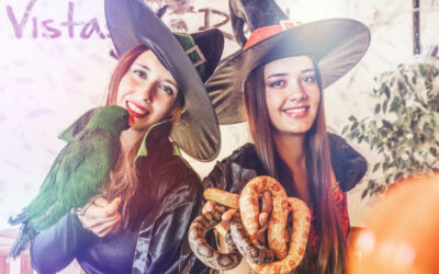 Halloween con niños en Madrid: misterio, naturaleza y diversión en Vistas Reales